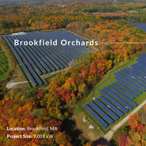 Brookfield Orchards Community Solar farm